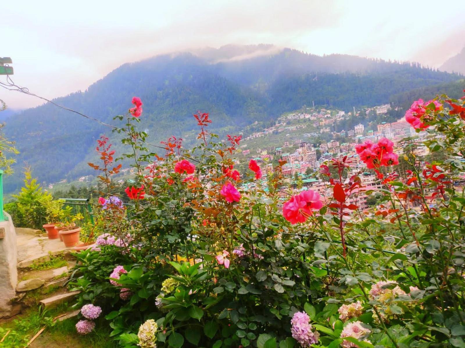 Cupidtrails Himalayan Castle Villa Manali  Room photo